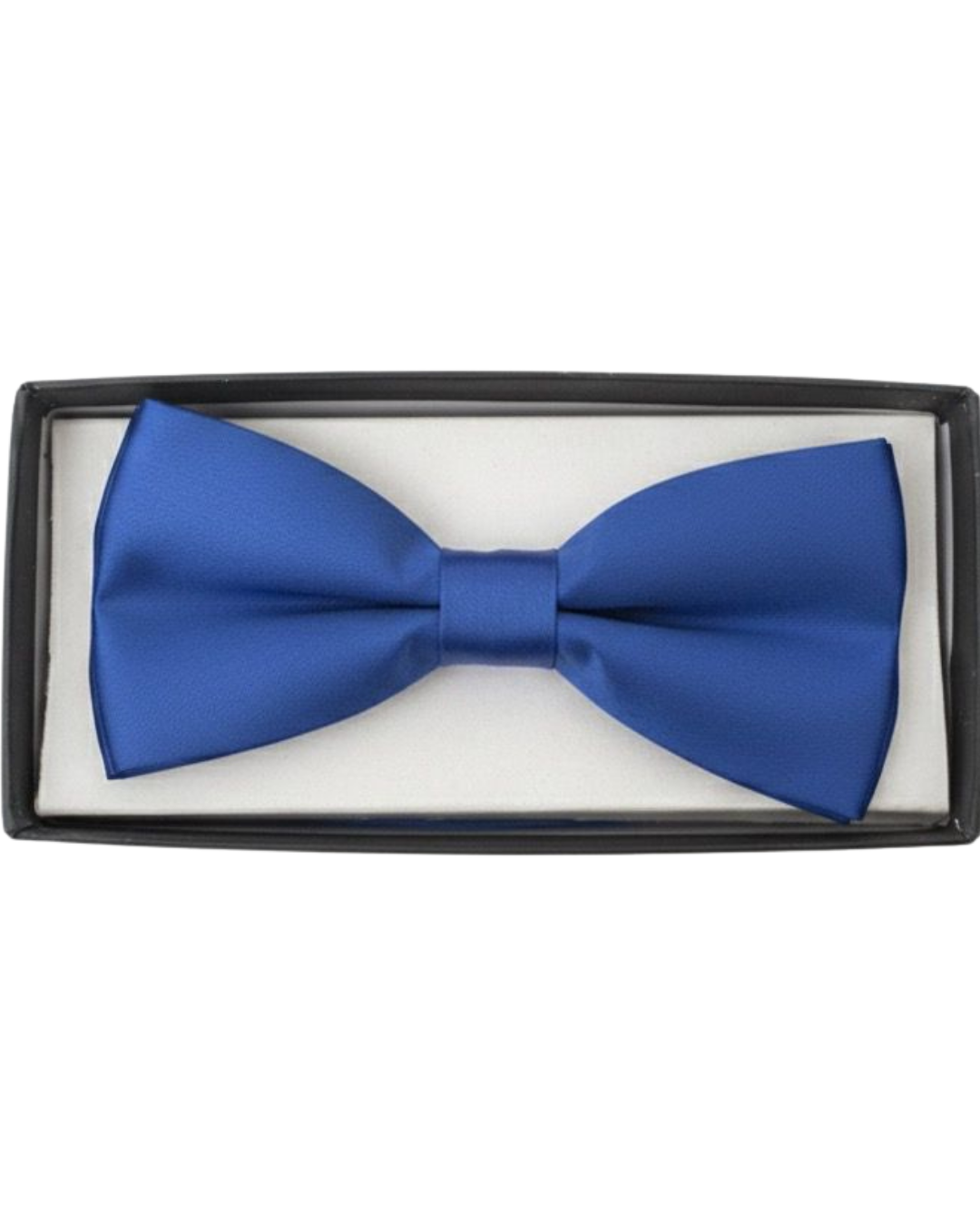 Blue bow tie
